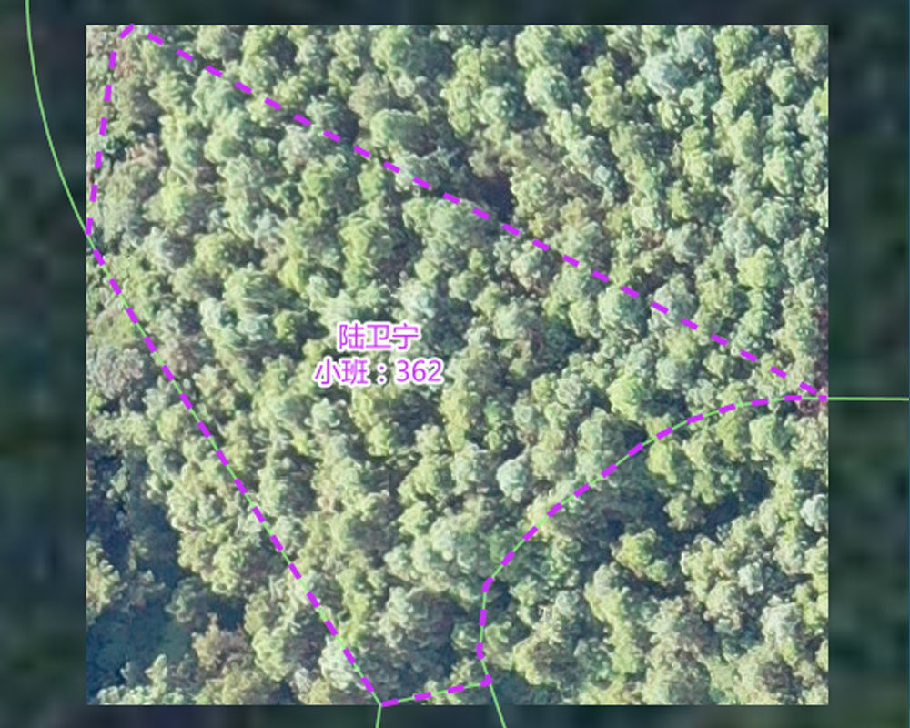 阿斯汤伽基础班(10天)